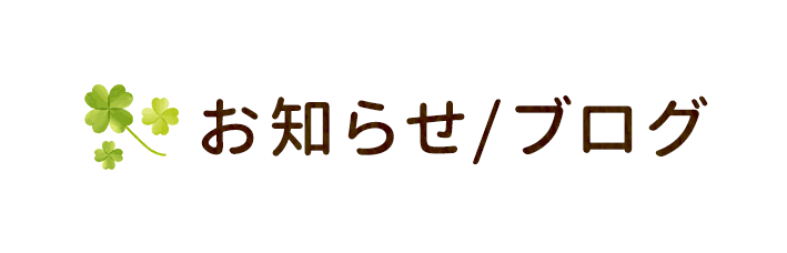 お知らせ/ブログ